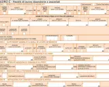 Quadro C del modello 730: cos'è e come si compila per dichiarare redditi da lavoro dipendente e assimilati, con dettagli su ritenute e detrazioni.