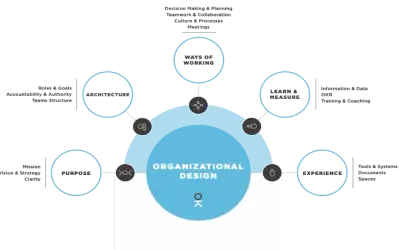 Schema di organizational design con elementi chiave: Purpose, Architecture, Ways of Working, Learn & Measure, Experience.