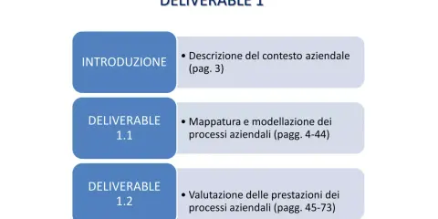 Struttura del documento: Deliverable 1 include introduzione, mappatura e valutazione dei processi aziendali.