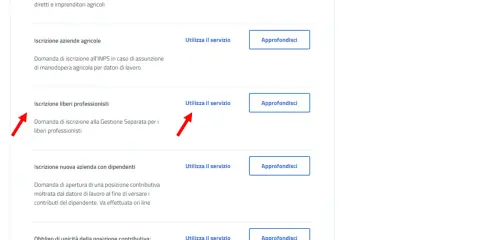 Domanda di iscrizione alla Gestione Separata per liberi professionisti, utile per conoscere i codici ateco gestione separata.
