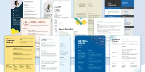 Una raccolta di curriculum vitae con diverse sezioni: esperienze, competenze, istruzione e contatti.