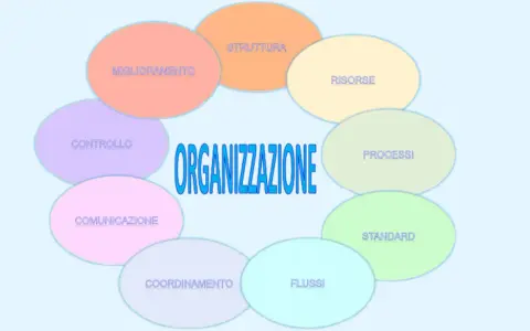 Schema del **modello organizzativo aziendale**: struttura, risorse, processi, standard, flussi, coordinamento, comunicazione, controllo e miglioramento.