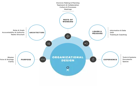 Schema di organizational design con elementi chiave: Purpose, Architecture, Ways of Working, Learn & Measure, Experience.