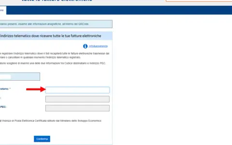 Registrazione indirizzo telematico per fatture elettroniche. Inserisci la Partita IVA, il Codice Destinatario SDI o l'indirizzo PEC.