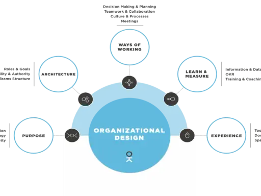 Schema di organizational design con elementi chiave: Purpose, Architecture, Ways of Working, Learn & Measure, Experience.