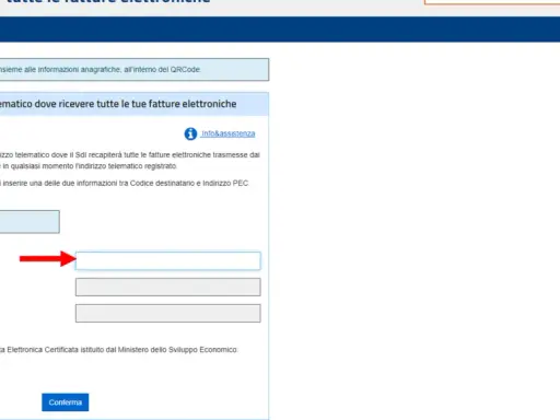 Registrazione indirizzo telematico per fatture elettroniche. Inserisci la Partita IVA, il Codice Destinatario SDI o l'indirizzo PEC.