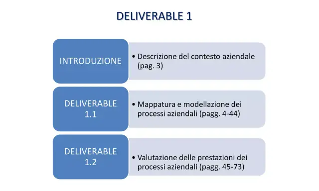 Struttura del documento: Deliverable 1 include introduzione, mappatura e valutazione dei processi aziendali.