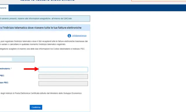 Registrazione indirizzo telematico per fatture elettroniche. Inserisci la Partita IVA, il Codice Destinatario SDI o l'indirizzo PEC.